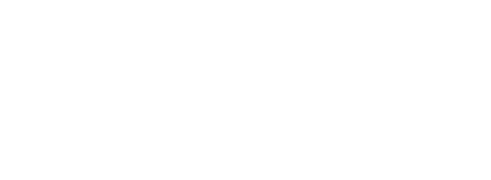 FISA LOGO Transparent PNG White
