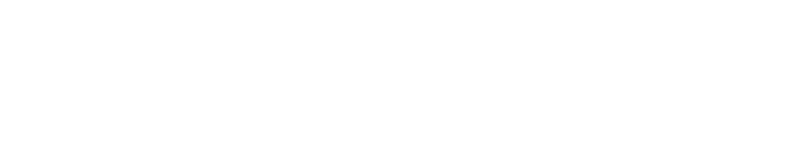 Choice School Logo New white